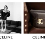 Success Stories and the History of Celine Brand